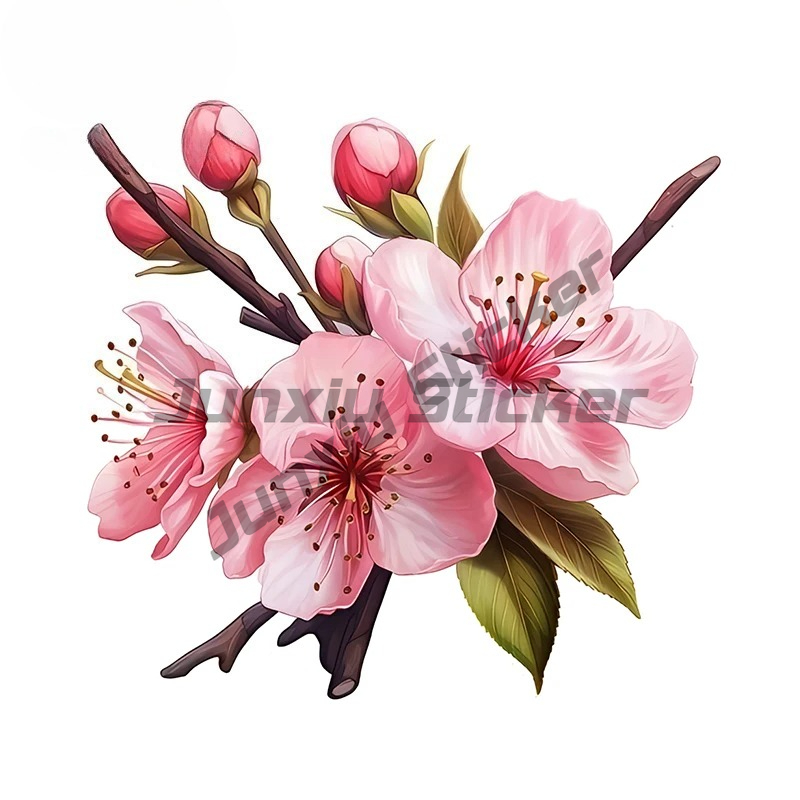 สติ๊กเกอร์ติดรถยนต์ลายดอกซากุร - Laptop Accessories Pink บทวิจารณ์และราคา