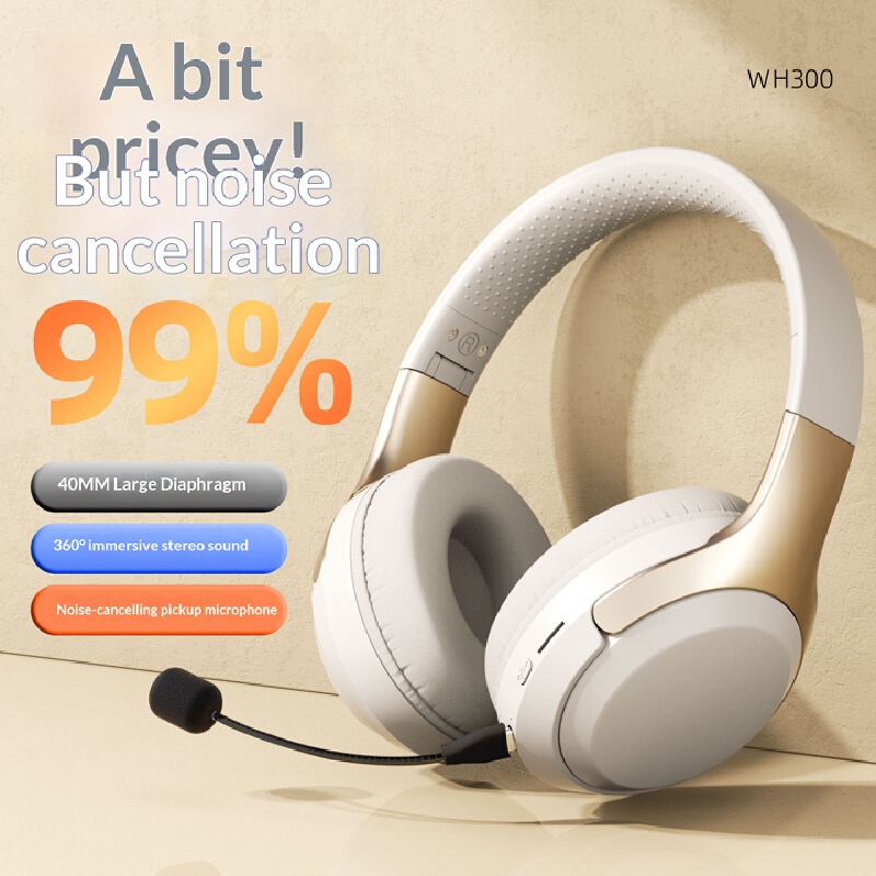 หูฟังบลูทูธไร้สายแบบครอบหู ไมโ - Laptop Accessories Officeworks บทวิจารณ์และราคา
