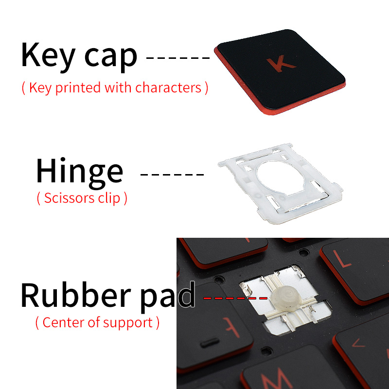 อะไหล่ฝาครอบกุญแจ & คลิปกรรไกร - Laptop Accessories Hp บทวิจารณ์และราคา